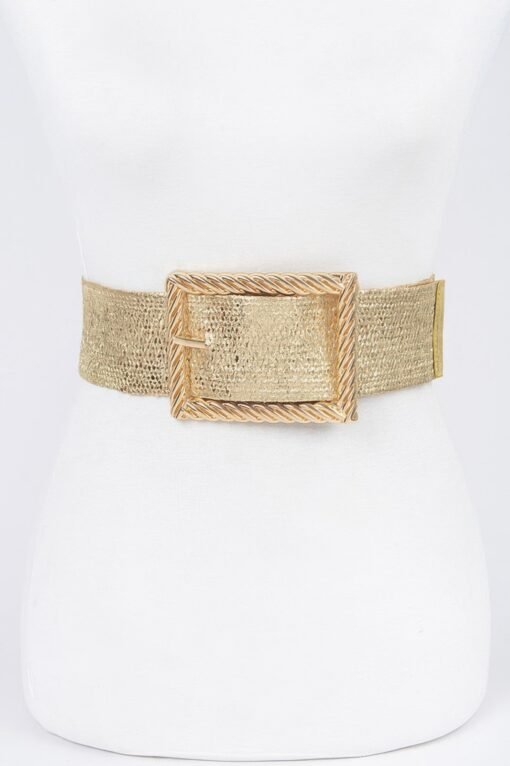 Wide Metal Buckle Plus Size Clear Belt