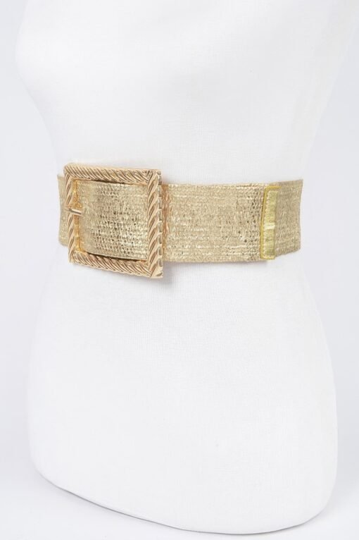 Wide Metal Buckle Plus Size Clear Belt