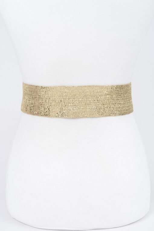 Wide Metal Buckle Plus Size Clear Belt
