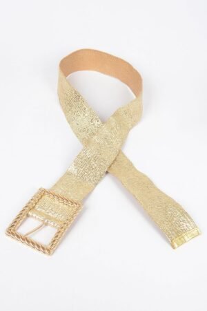 Wide Metal Buckle Plus Size Clear Belt