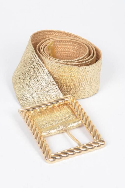 Wide Metal Buckle Plus Size Clear Belt