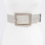 Wide Metal Buckle Clear Belt