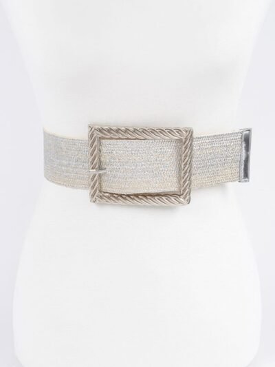 Wide Metal Buckle Clear Belt