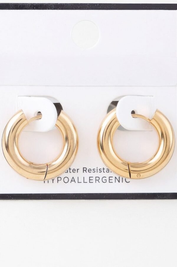 Bulky Shiny Hoop Earrings