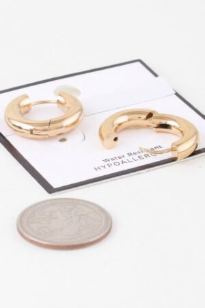 Bulky Shiny Hoop Earrings Bulky Shiny Hoop Earrings