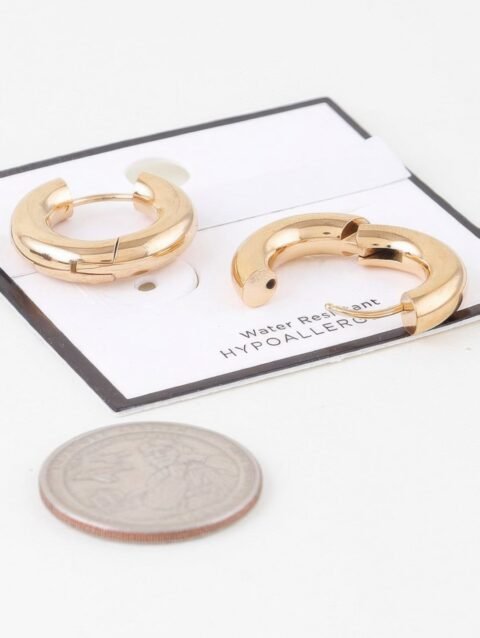 Bulky Shiny Hoop Earrings