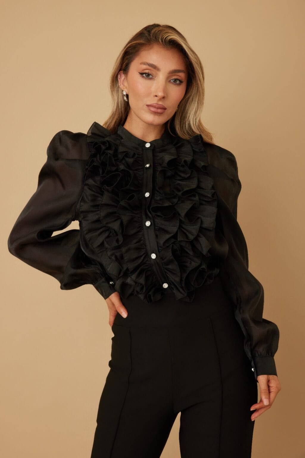 ruffle micro crystal long sleeve blouse