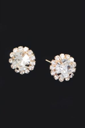 Stone Stud Earring
