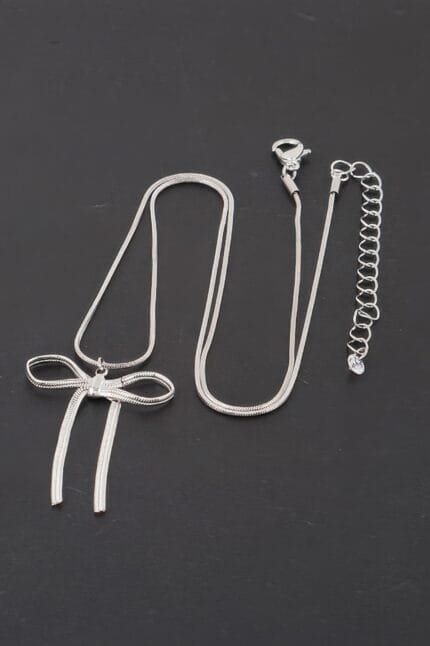 Snake Chain Ribbon Necklace