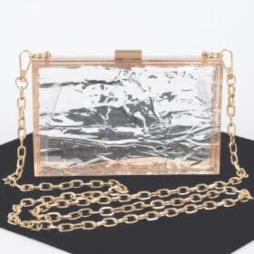 Transparent Plastic Case Clutch