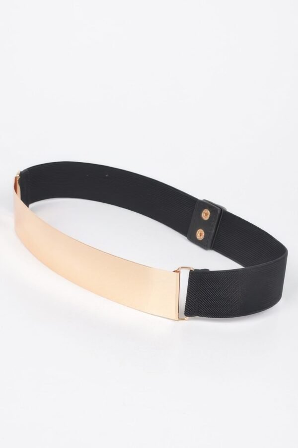 Metal Plate Elastic Belt