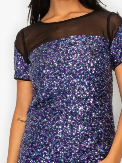 Sparkle Sequins & Mesh Cap Sleeve Mini Dress
