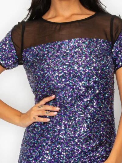 Sparkle Sequins & Mesh Cap Sleeve Mini Dress
