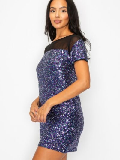 Sparkle Sequins & Mesh Cap Sleeve Mini Dress