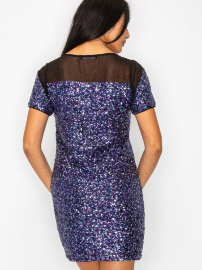Sparkle Sequins & Mesh Cap Sleeve Mini Dress