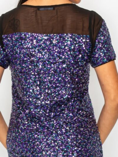 Sparkle Sequins & Mesh Cap Sleeve Mini Dress
