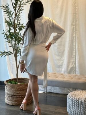 Wrap Satin Long Sleeve Button Down Mini Dress Wrap Satin Long Sleeve Button Down Mini Dress