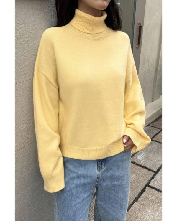 Solid Knit High Neck Drop Shoulder Sweater