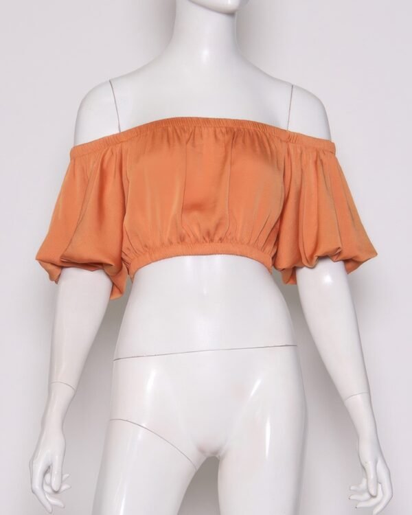 Washed Poly Silk Bubble Sleeve Crop Top