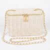 Faux Straw Cosmetic Case Bag