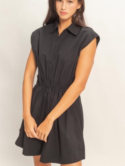 Sleeveless Collared Shirred Mini Dress