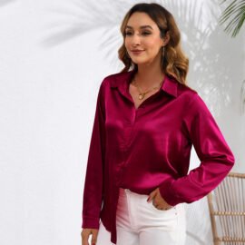 Women's Solid Color Satin Satin Long Sleeve Blouse